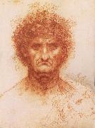 Leonardo Da Vinci Buste one frontal to seeing man and head of a Lowen oil painting